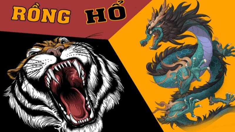 meo choi rong ho 1 Hãy bắt đầu học mẹo chơi rồng hổ để chiến thắng